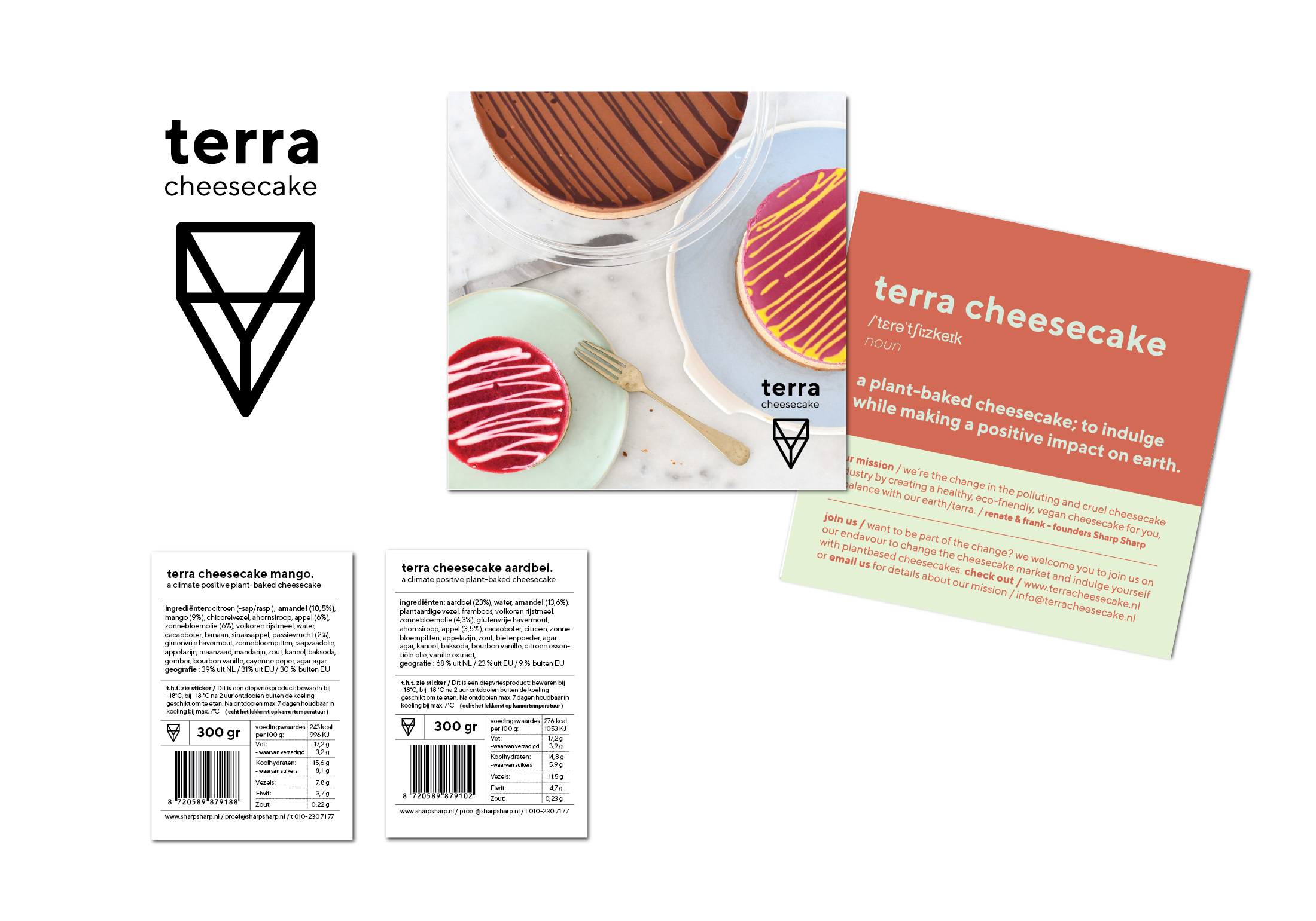 test_terra_cheesecake_2